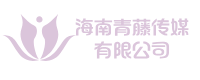 海南七號(hào)光年文化傳媒有限公司
